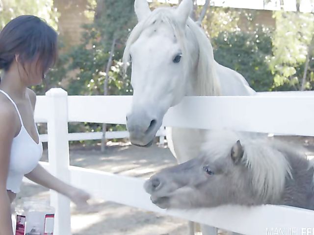 Busty latina teen Autumn Falls loves horses and cocks