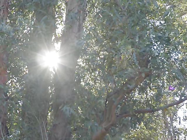 Busty latina teen Autumn Falls loves horses and cocks