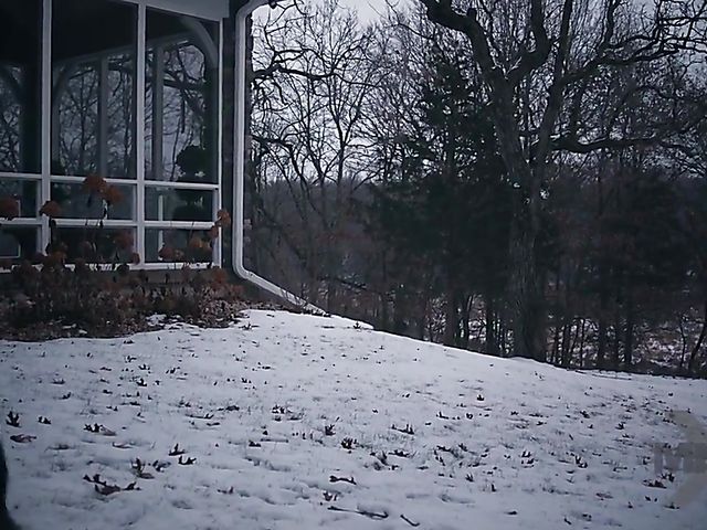 Lingerie MILF Mona Wales gets pounded by Zac Wild