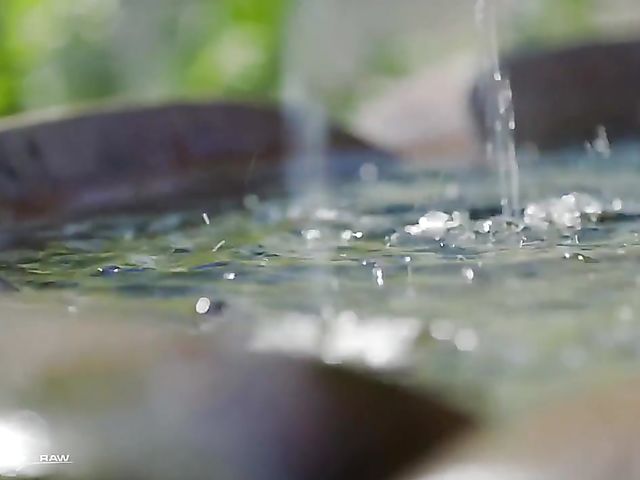 Black cock DP with angelic babe Adria Rae