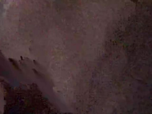 Amateur black cock blowjob on cam at home