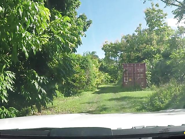 Outdoor sex on the side of the road with Alexa Mia Nicole