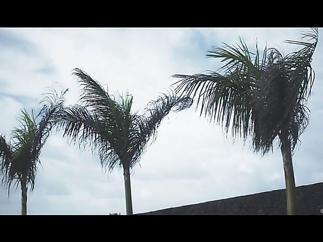 Sensual lesbians Lena Reif and Olivia Sin have fun