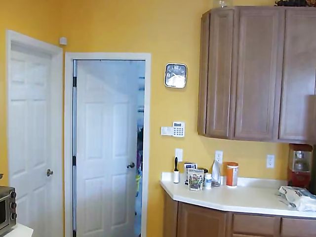 Family fuck with a busty jealous daughter who has a strap-on