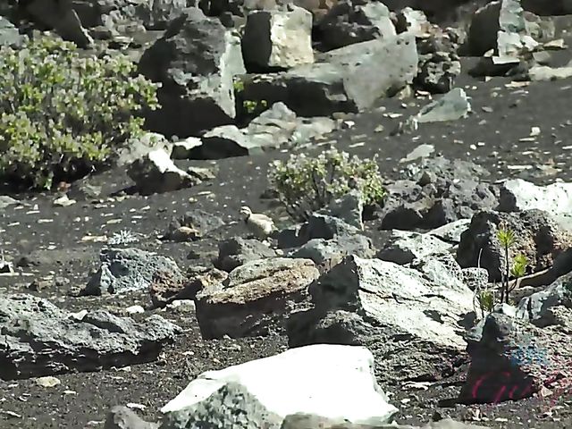 Hairy girlfriend Niki Snow is naked on the beach