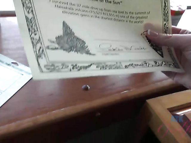 Hairy girlfriend Niki Snow is naked on the beach