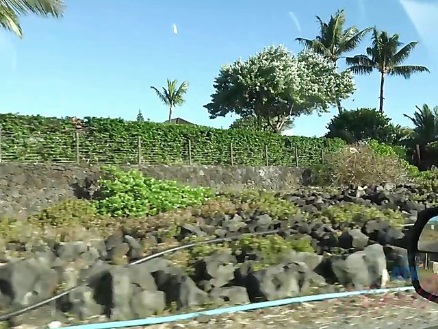 Skinny Carmen Rae bares all on the nudist beach