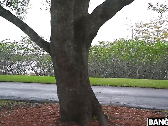 Redhead Arietta Adams rimming and fucking on the road