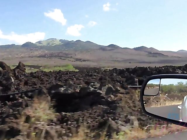 Traveling with small tits blonde Riley Star