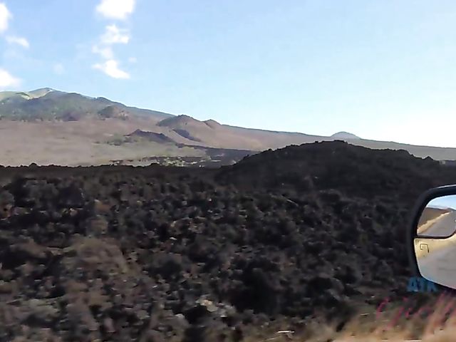 Traveling with small tits blonde Riley Star