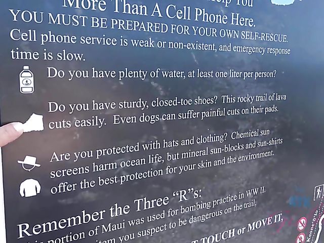 Traveling with small tits blonde Riley Star