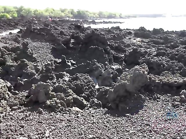 Traveling with small tits blonde Riley Star