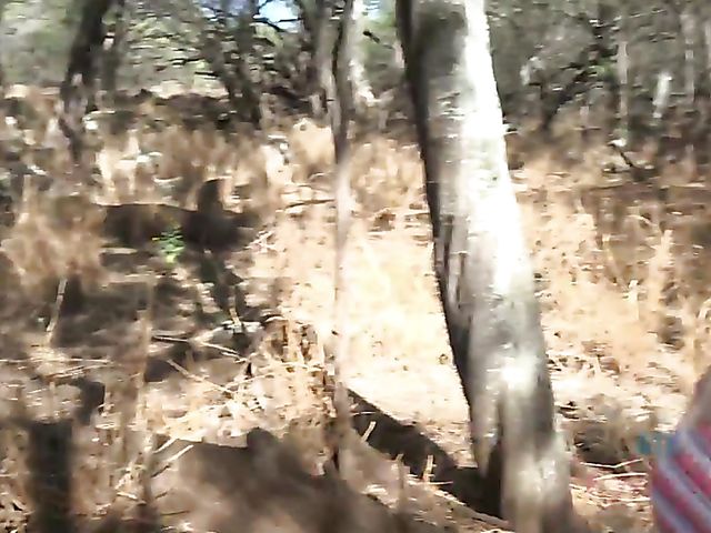 Traveling with small tits blonde Riley Star