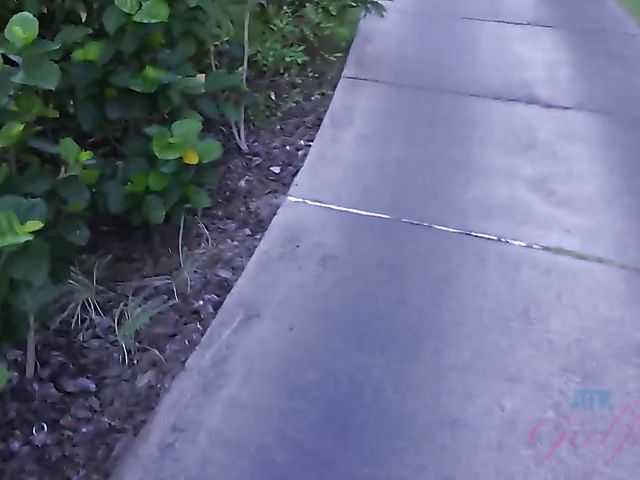 Traveling with small tits blonde Riley Star