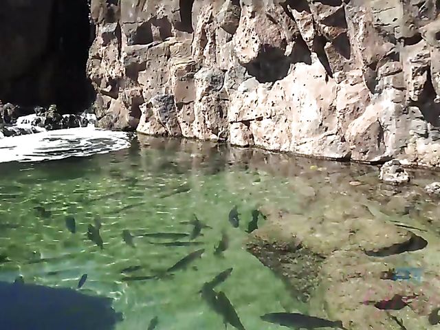 Traveling with small tits blonde Riley Star