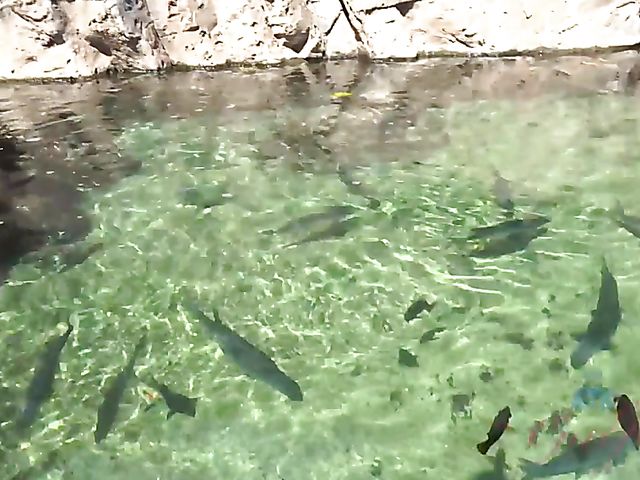 Traveling with small tits blonde Riley Star