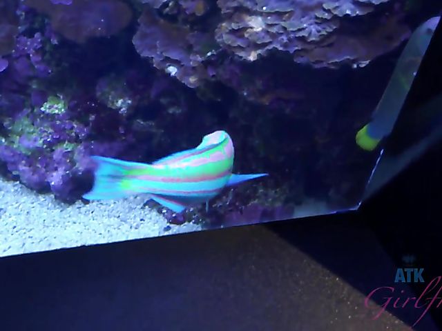 Traveling with small tits blonde Riley Star