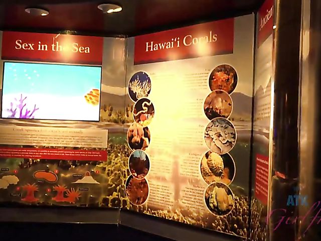 Traveling with small tits blonde Riley Star