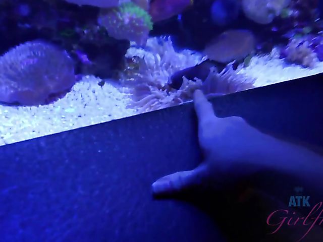 Traveling with small tits blonde Riley Star