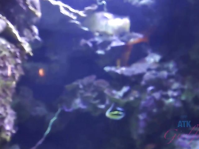 Traveling with small tits blonde Riley Star