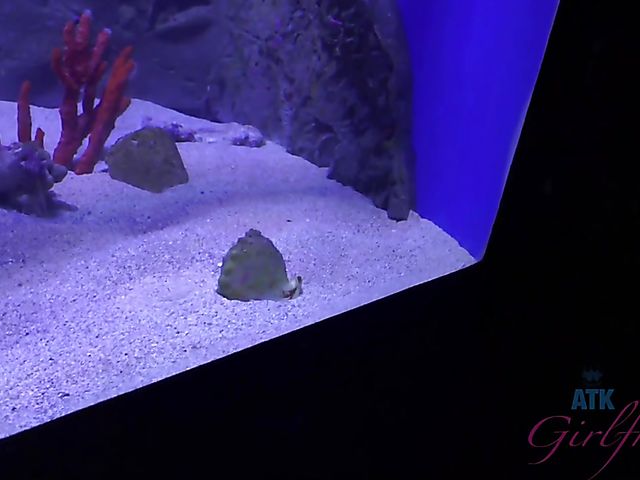 Traveling with small tits blonde Riley Star