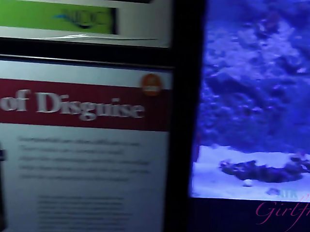 Traveling with small tits blonde Riley Star