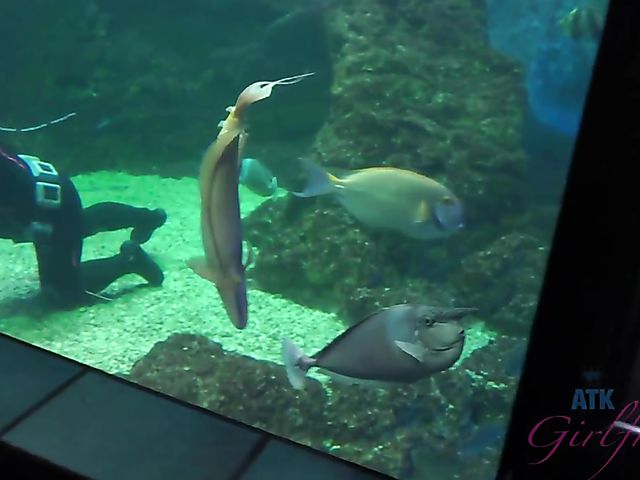 Traveling with small tits blonde Riley Star