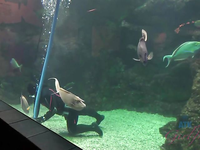 Traveling with small tits blonde Riley Star