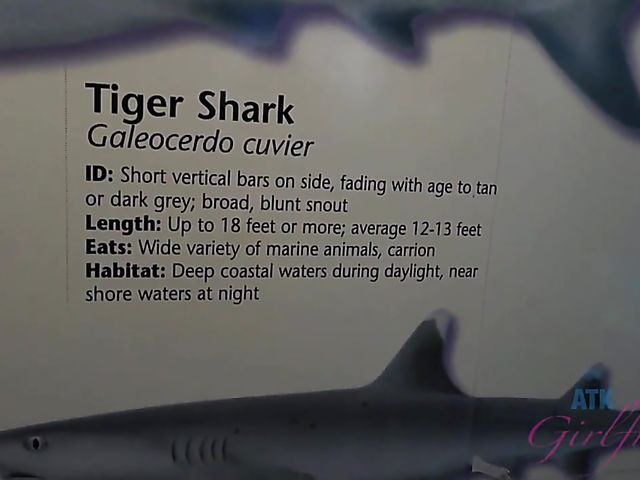 Traveling with small tits blonde Riley Star