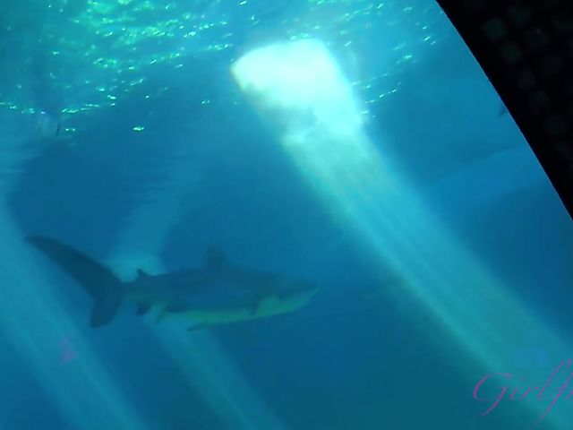 Traveling with small tits blonde Riley Star