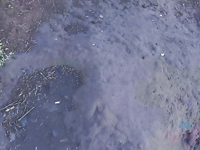 Naughty teen shows her twat in the car