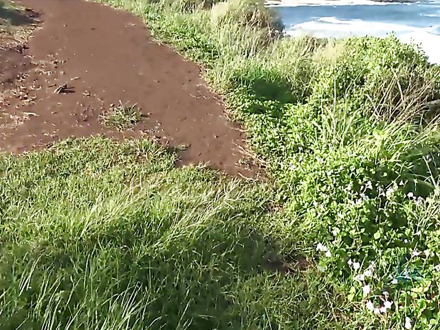 Naughty teen shows her twat in the car