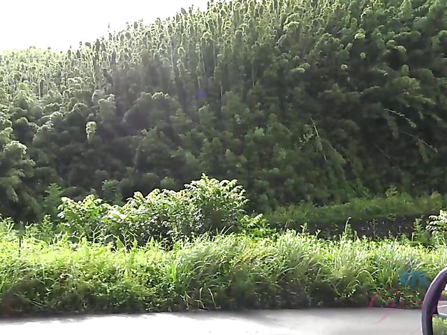 Naughty teen shows her twat in the car