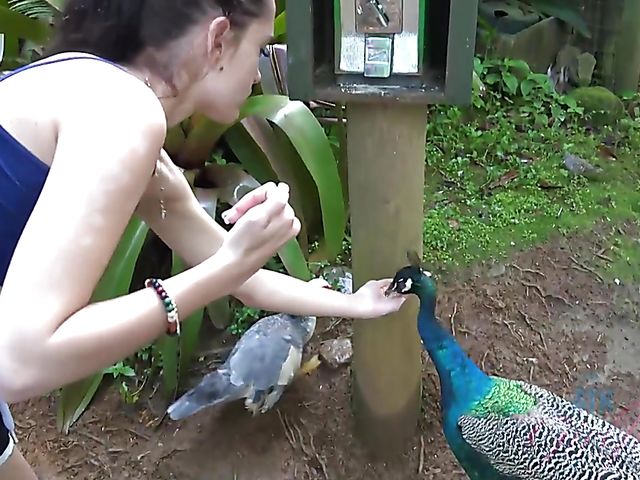 Naughty teen shows her twat in the car