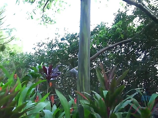 Naughty teen shows her twat in the car