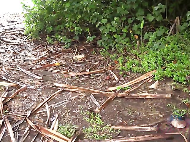 Naughty teen shows her twat in the car