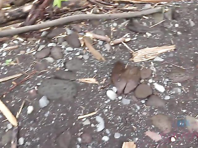 Naughty teen shows her twat in the car