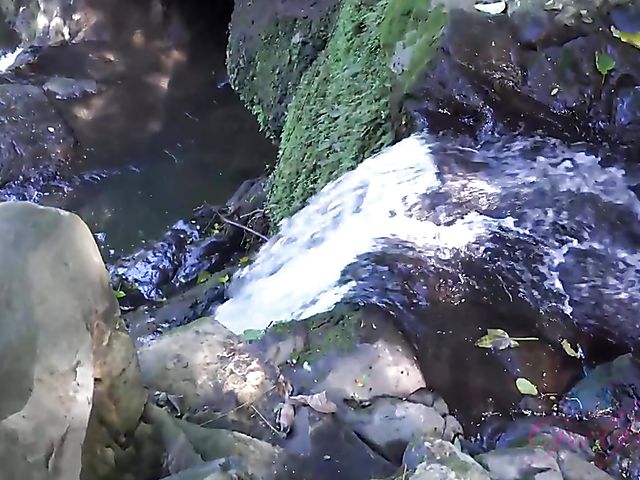 Outdoor POV with blonde girl Riley Star