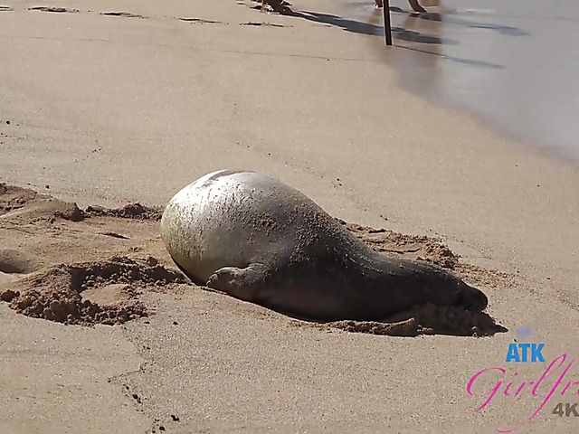 POV girlfriend Gia Paige gets penetrated