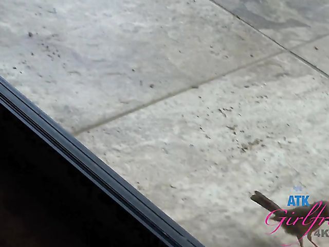 POV girlfriend Gia Paige gets penetrated