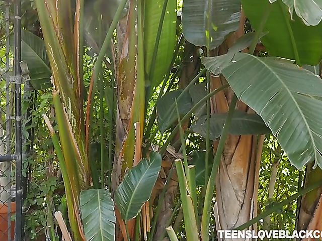 Interracial cuckold with horny girl Alex More