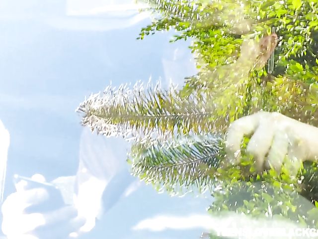 Interracial cuckold with horny girl Alex More