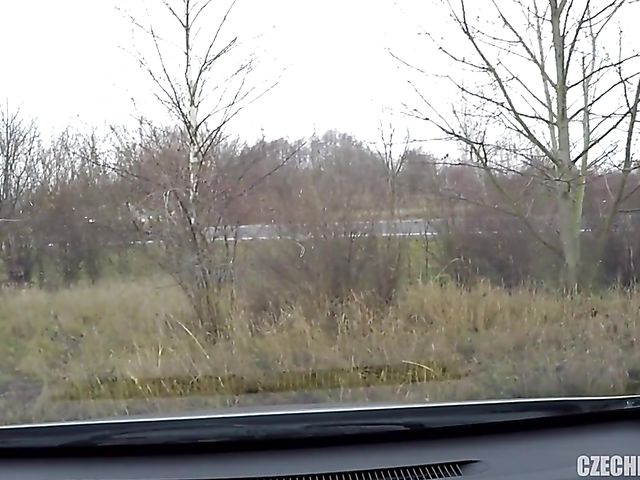 Car anal with a small titty whore