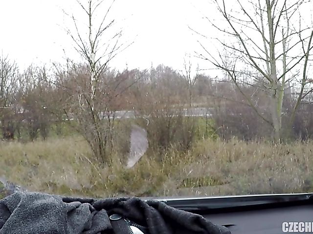 Car anal with a small titty whore