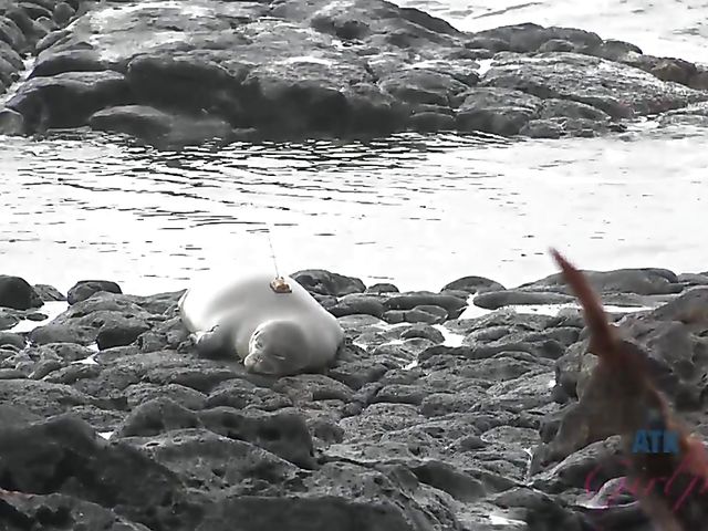 His small tits GF Violet Rain is so cute