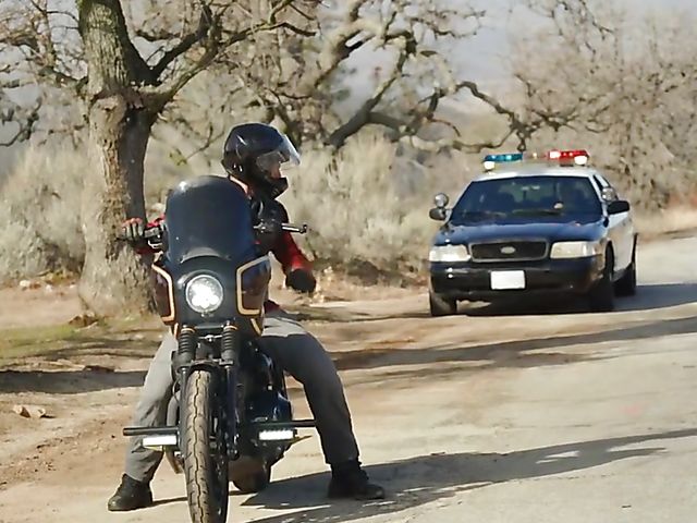 Big tits police woman Bridgette B gets boned outdoors