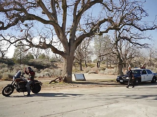 Big tits police woman Bridgette B gets boned outdoors