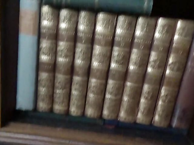 Busty sister Shay Evans makes her stepbrother happy