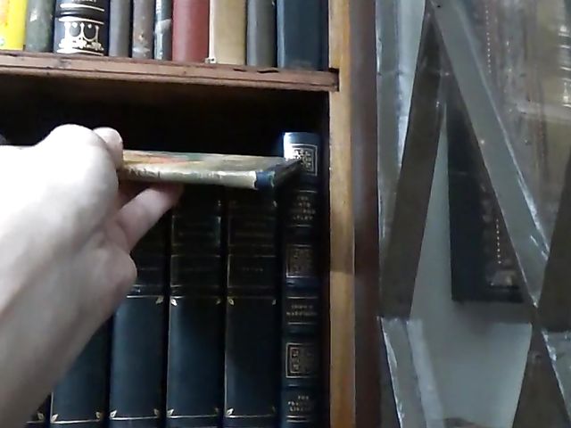 Busty sister Shay Evans makes her stepbrother happy