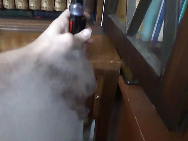 Busty sister Shay Evans makes her stepbrother happy